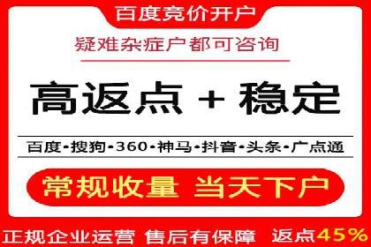 某电商平台SEM竞价广告的转化率提升案例